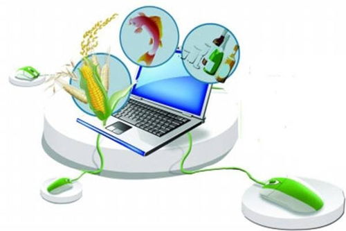 農(nóng)業(yè)CEO的數(shù)字化視野 未來(lái)農(nóng)業(yè)的數(shù)據(jù)處理服務(wù)革新之路